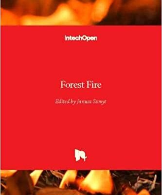 Forest Fire