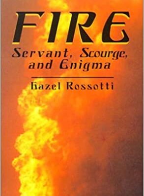 Fire: Servant, Scourge, and Enigma