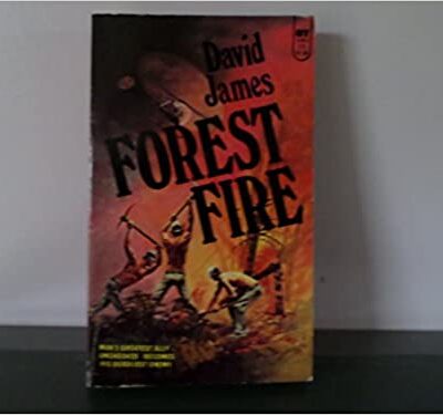 Forest Fire