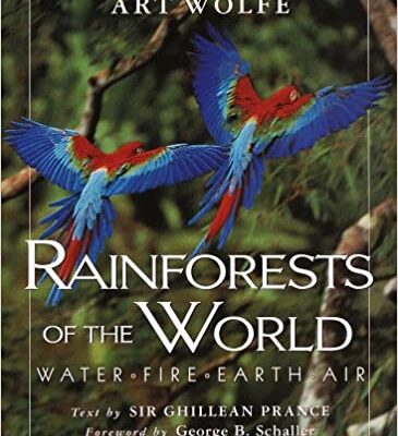 Rainforests of the World