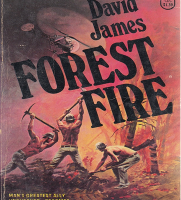 Forest Fire
