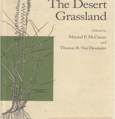 The Desert Grassland
