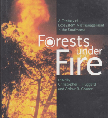 Forest Under Fire