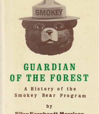 Guardian Of The Forest