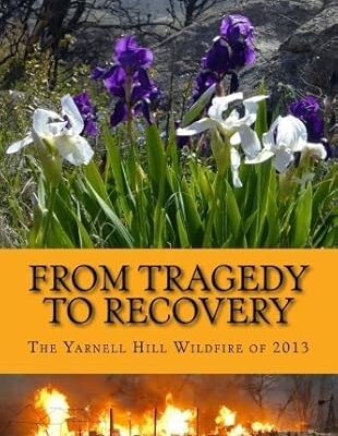 From tragedy to recovery