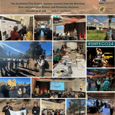 Proceedings of Fire Conference 2000