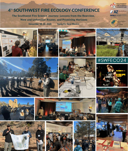 Proceedings of Fire Conference 2000