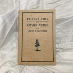 Forest Fire and Other Verse (1929) | Vintage American Poetry Book