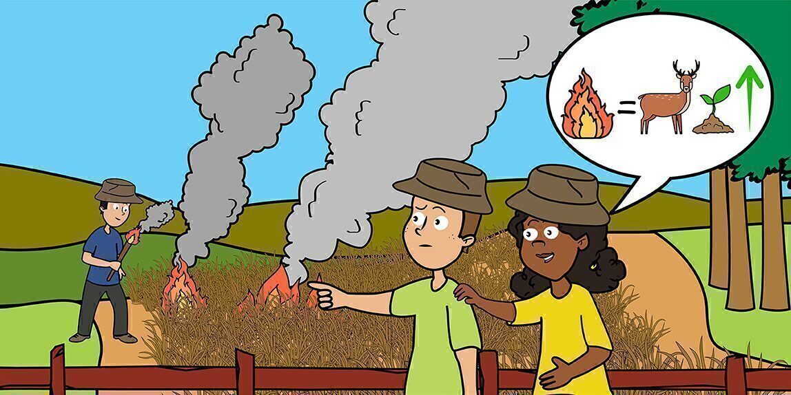 Wildfire for kids