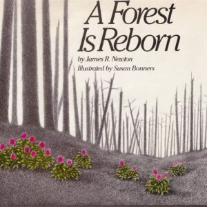 A Forest Is Reborn