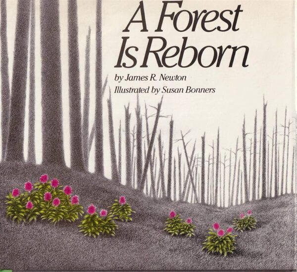 A Forest Is Reborn